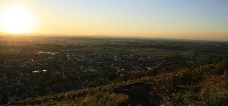 famizz - Familienzentrum Zwingenberg